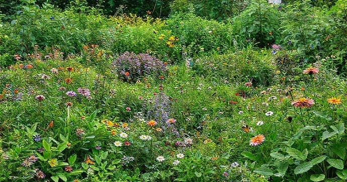 Transforme Seu Espaço ao Ar Livre: O Poder de uma Empresa de Jardinagem