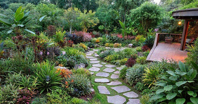 Dicas Essenciais de Jardinagem e Paisagismo para Valorizar e Renovar Seu Espaço Verde