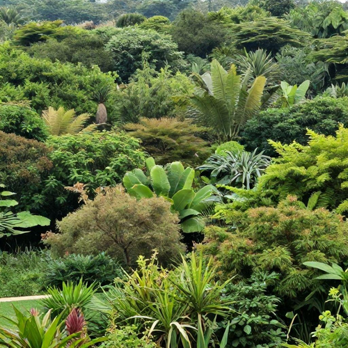 Estratégias Eficazes para Restauração de Áreas Degradadas e Preservação Ambiental
