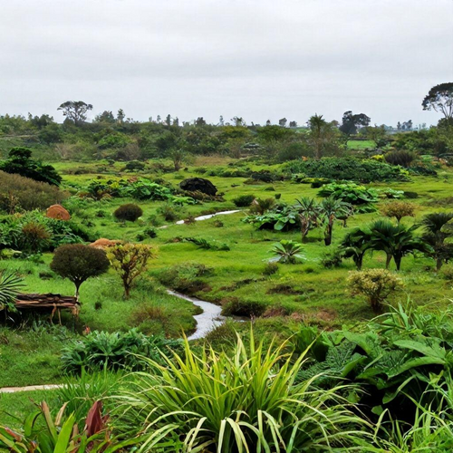 Métodos Eficientes para Recuperar Áreas Degradadas e Promover a Sustentabilidade Ambiental