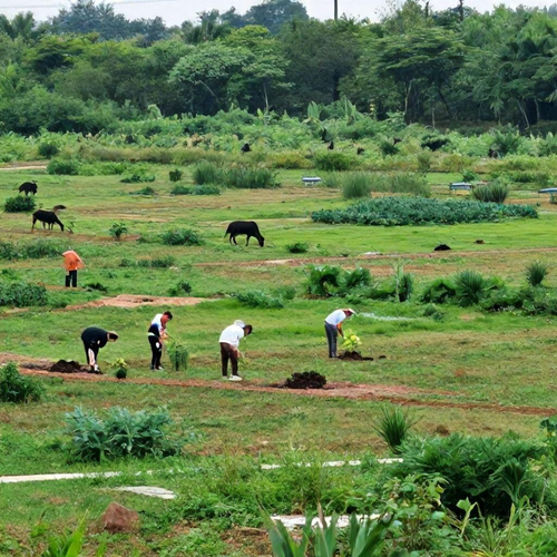 Recuperação de Áreas Degradadas: Guia Essencial para Transformação e Sustentabilidade Ambiental