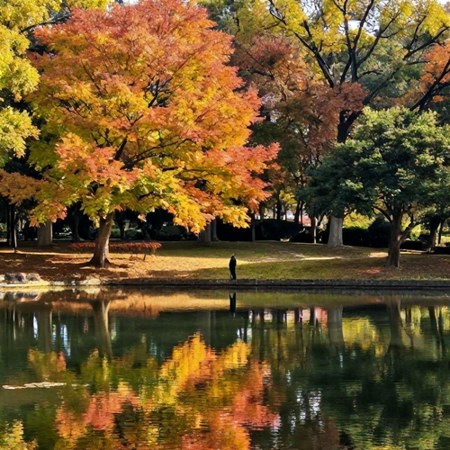 Como Converter Desafios em Oportunidades para Potencializar seu Crescimento Pessoal