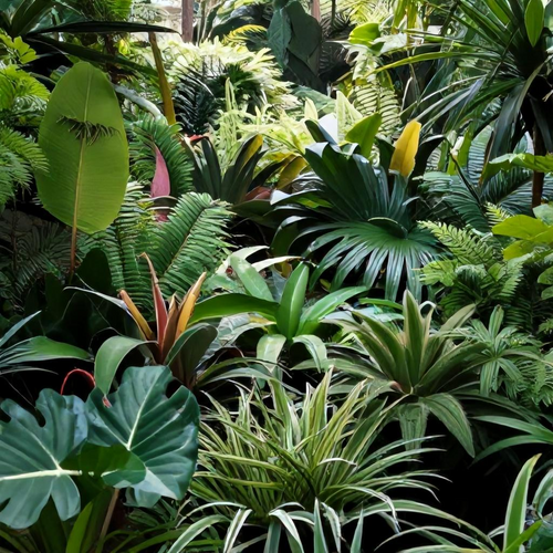 Como Transformar Seu Jardim em um Espaço Verde Perfeito: Dicas Essenciais de Jardinagem
